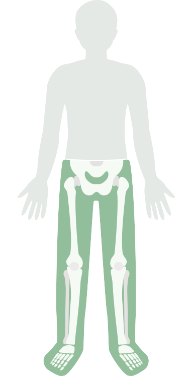 body-leg